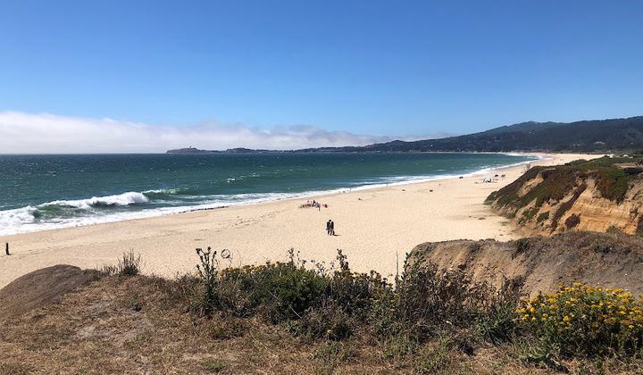 Francis Beach