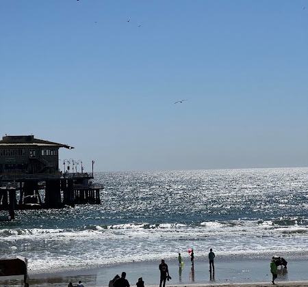 Palisades Beach