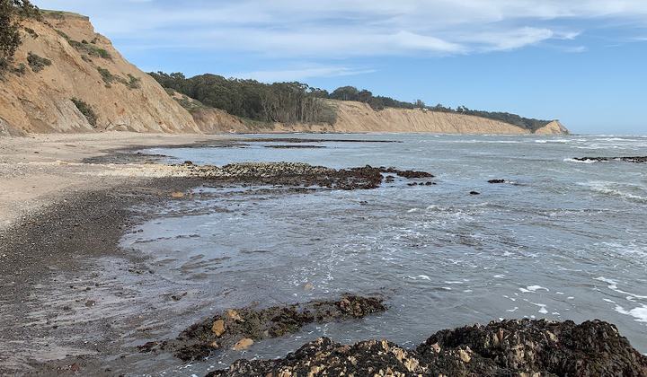 Agate Beach