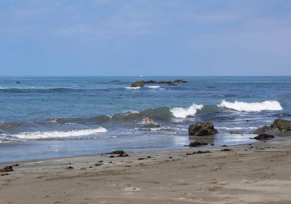 Wages Creek Beach