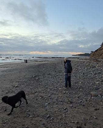 Schooner Gulch State Beach