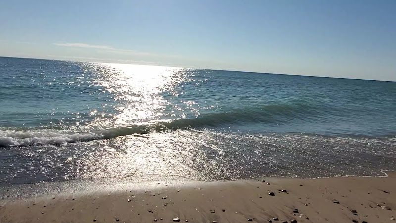 Illinois Beach State Park