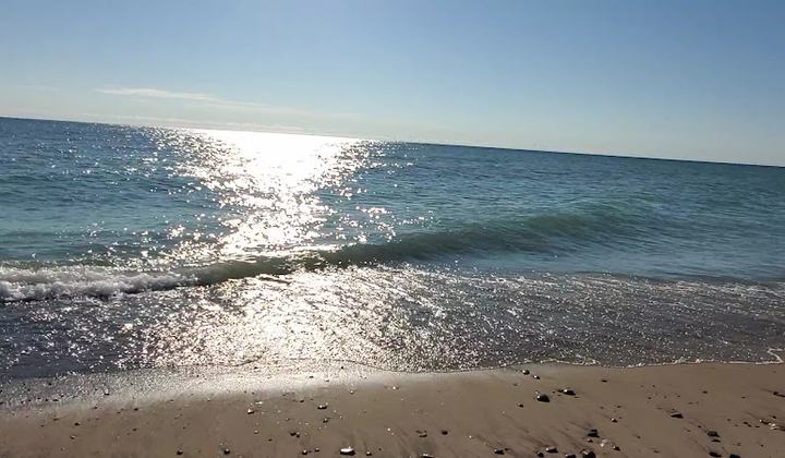 Illinois Beach State Park