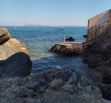 La bionda