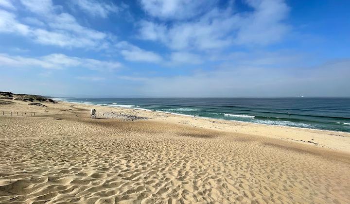 Marina State Beach