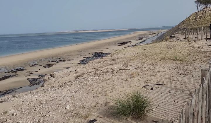 Les Gaillounets