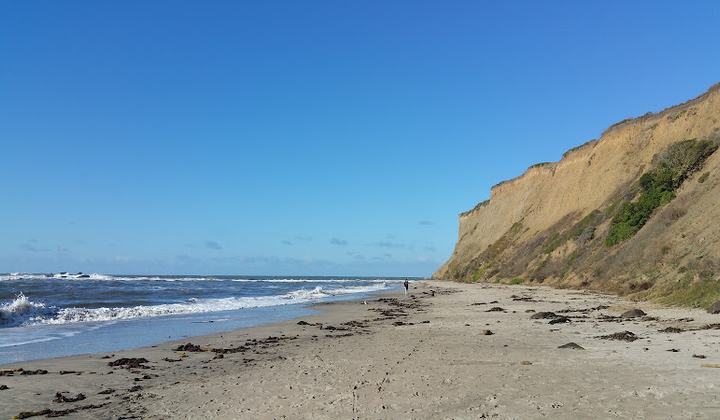 Mavericks Beach