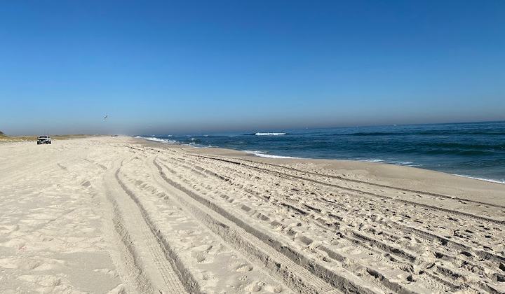 Bathing Beach Number 2