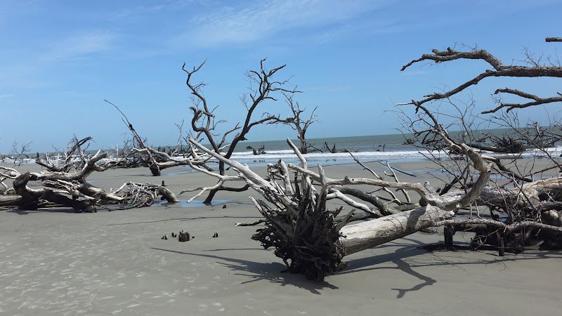 Bone Yard Beach