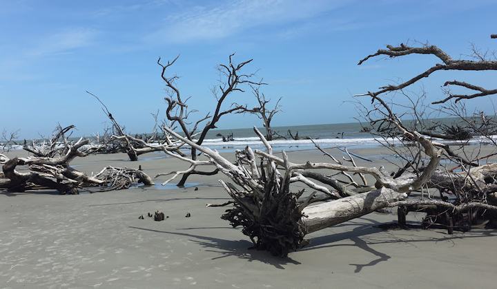 Bone Yard Beach