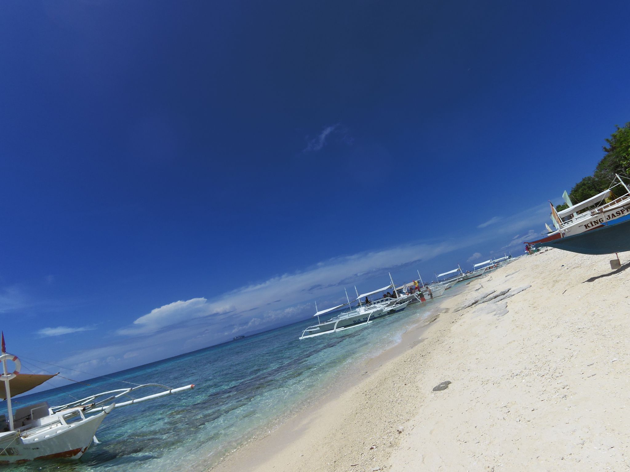 Balicasag Island Turtles Point