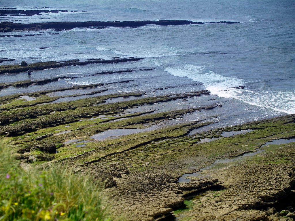 Baloiço da Praia da Consolação