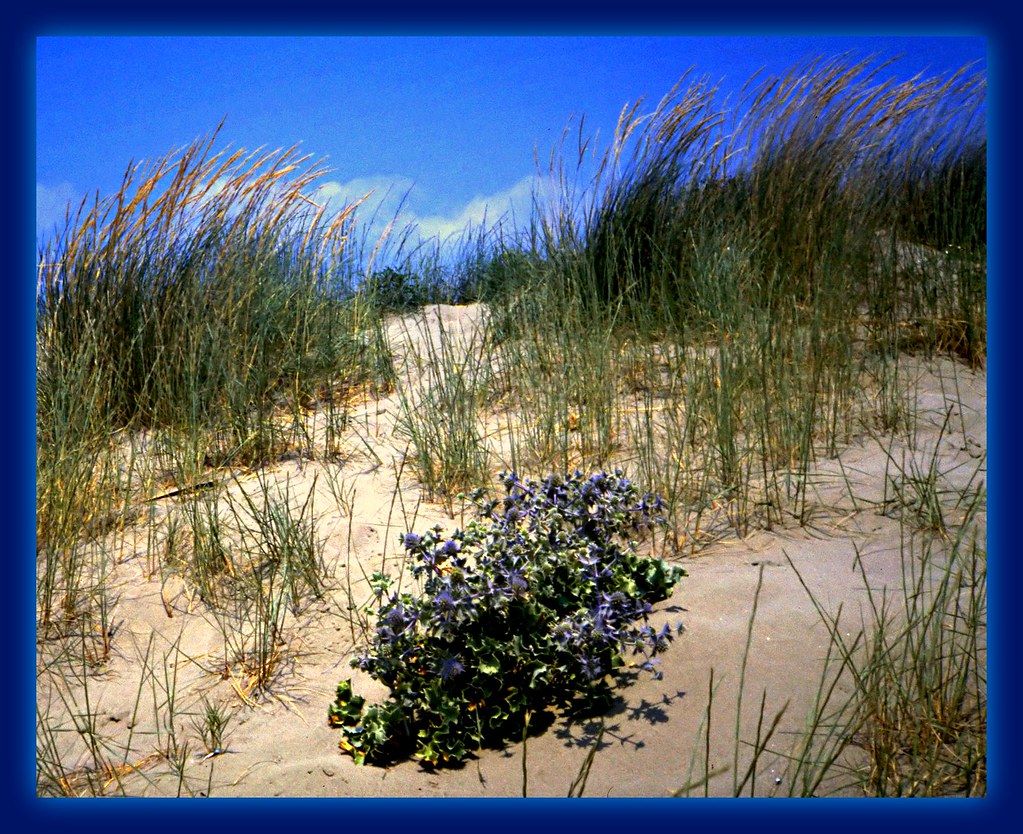 La Fiumara Beach