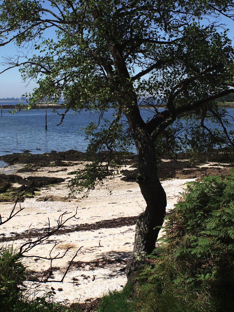 Praia de Nosa Señora