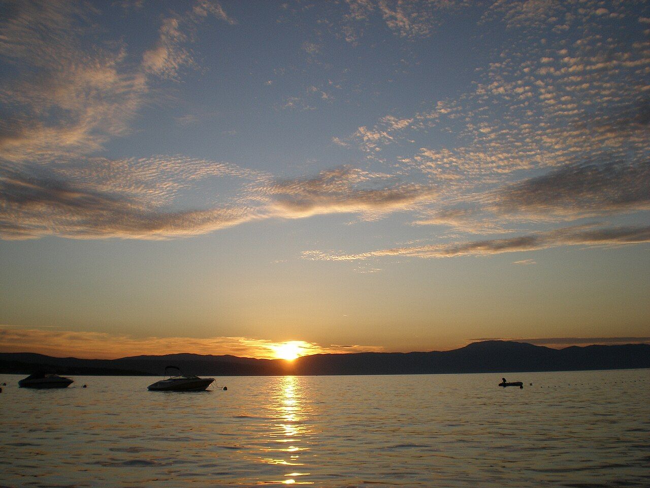Portić
