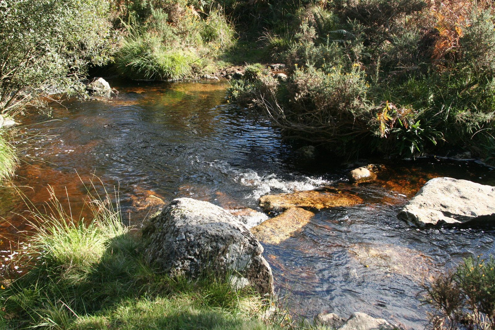 Shilley Pool
