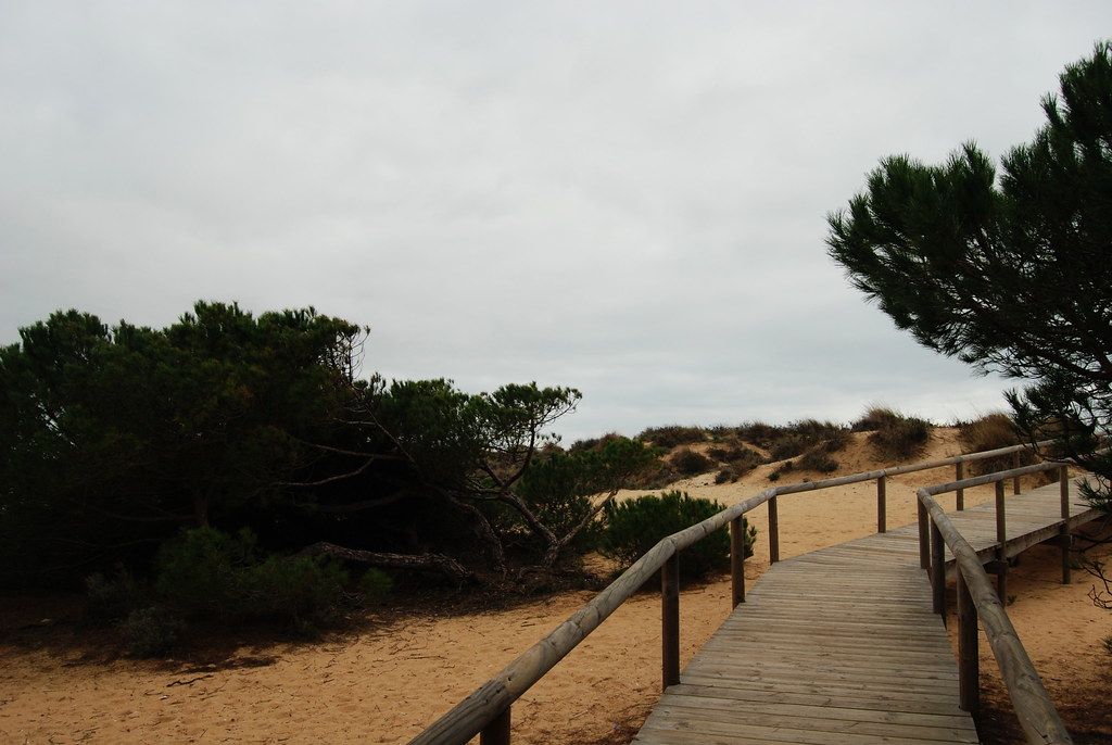 Plage PT