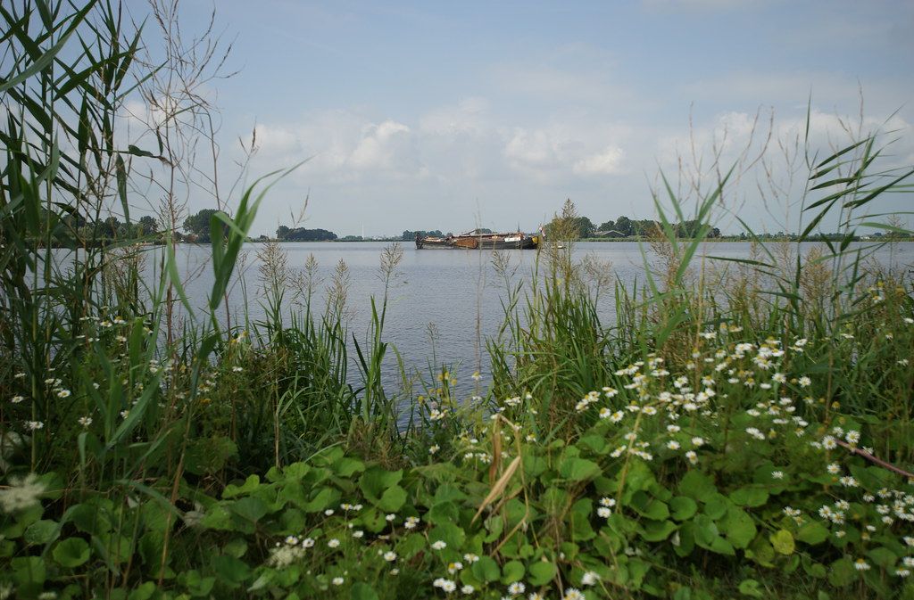 Baignade NL