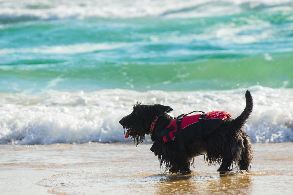 Keep Cool Surfing
