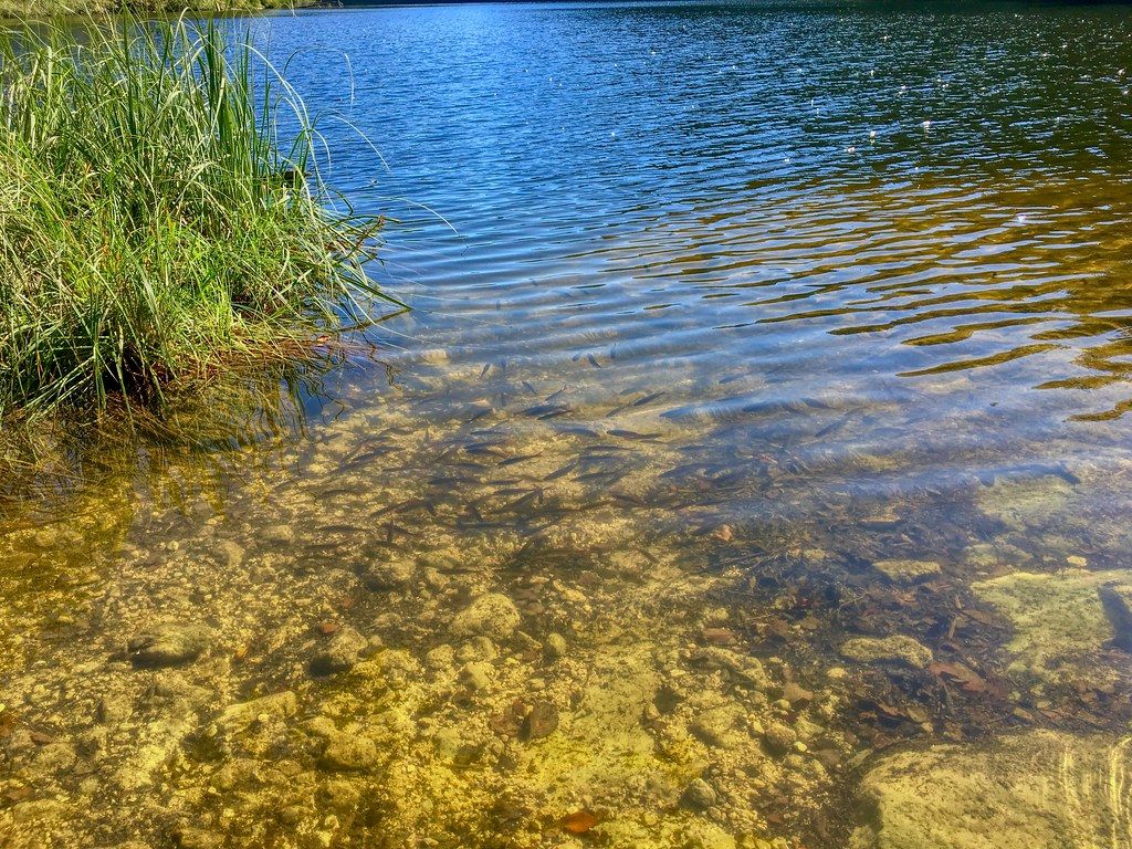 Baignade AT