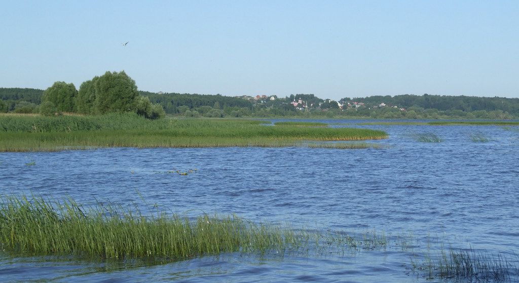 Коровий пляж