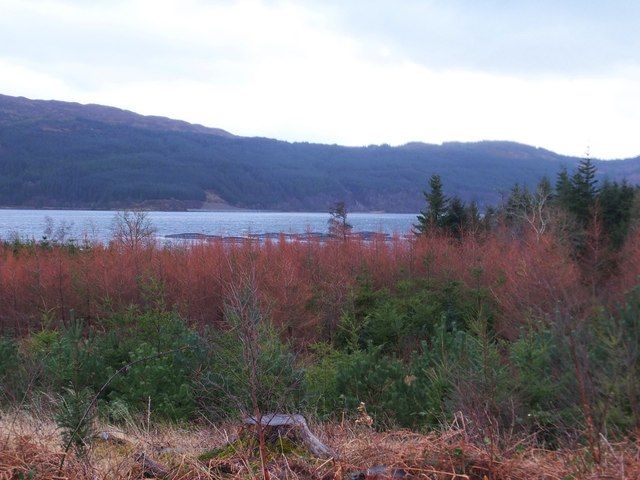 Strome Castle