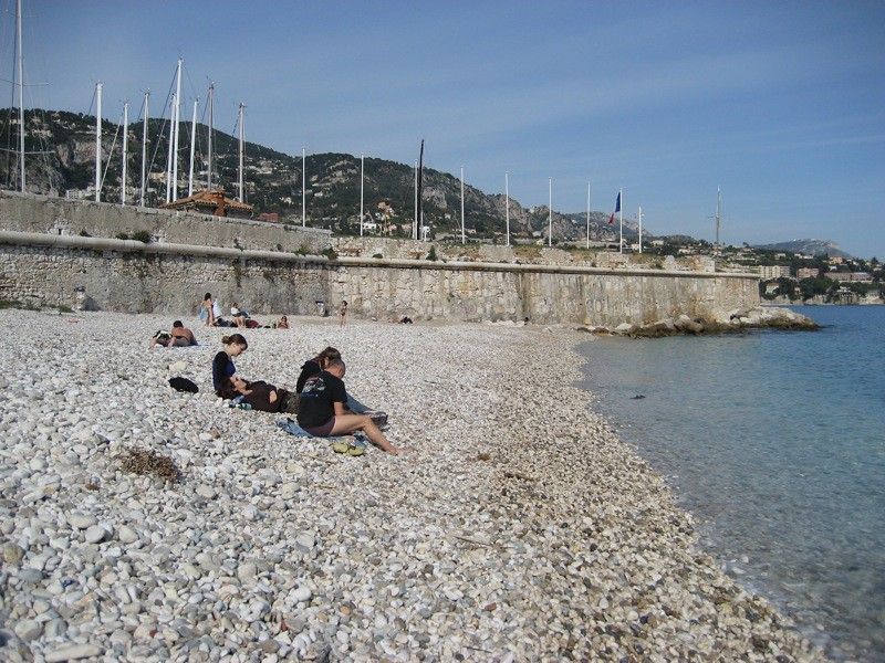 Aqua Pro Dive International