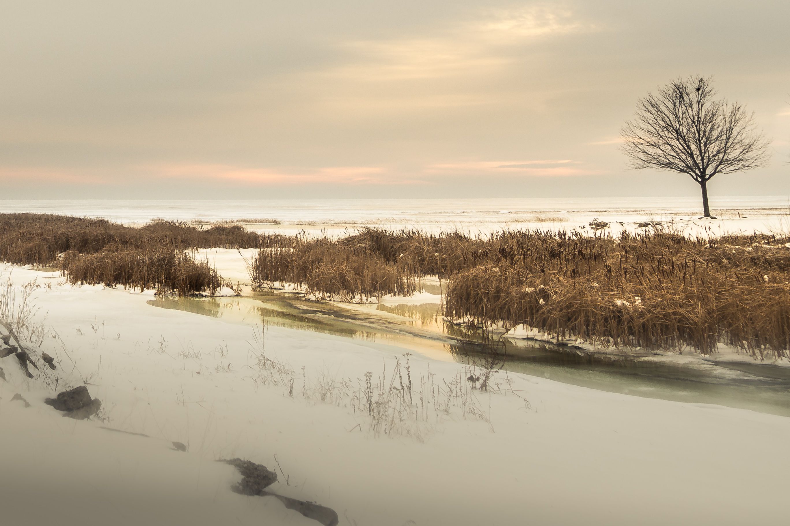 Linwood Beach