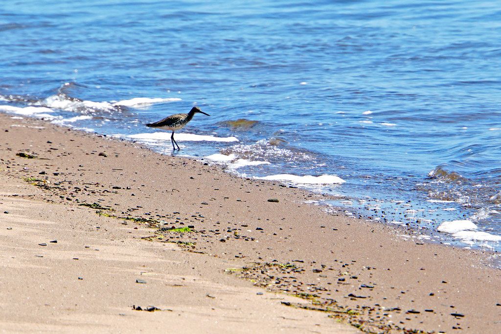 Lowdens Beach