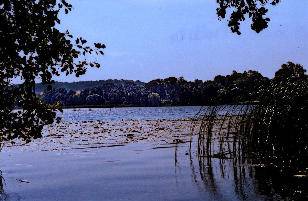 Baignade DE-N