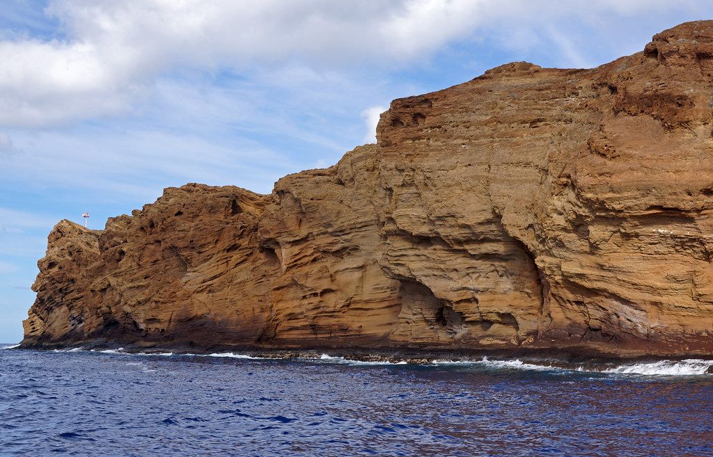 Flying Sea Cliffs