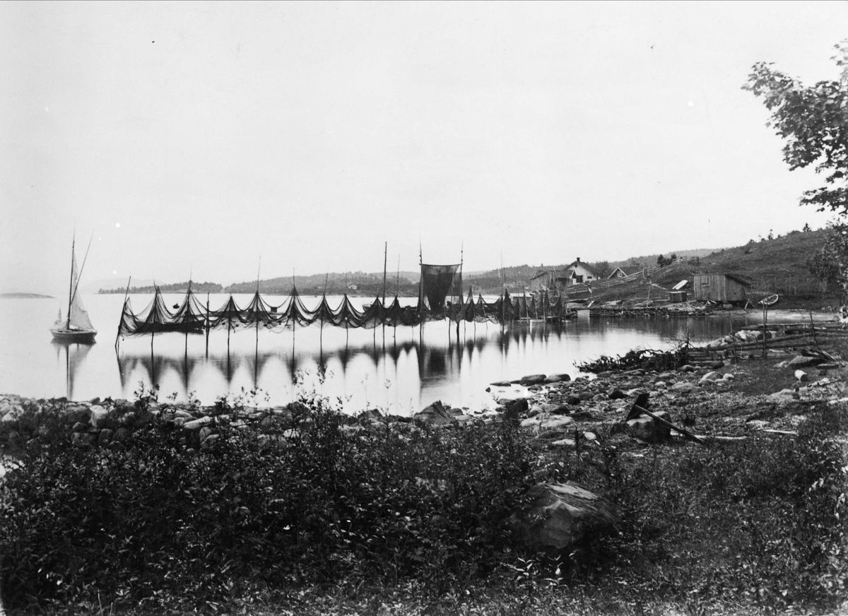 Blakstadbukta