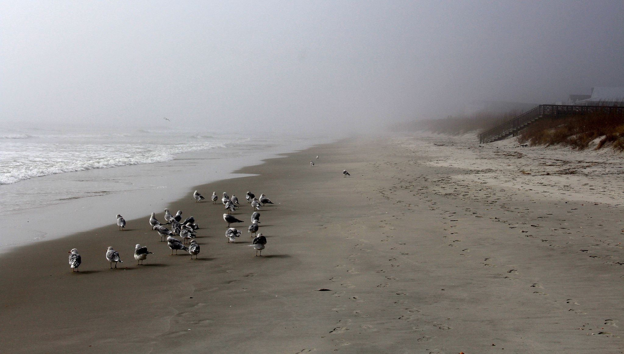 Litchfield Beach