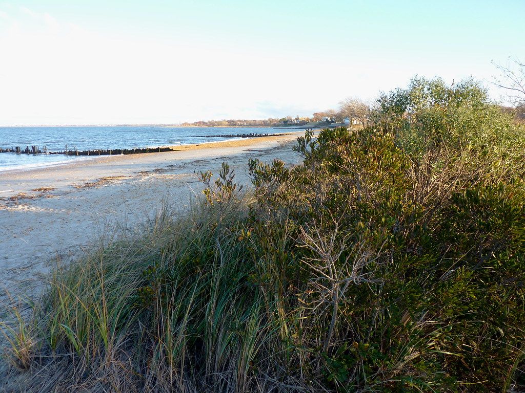 Seidler Beach