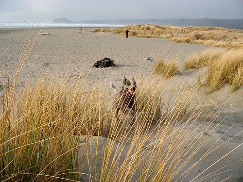 Clam Beach