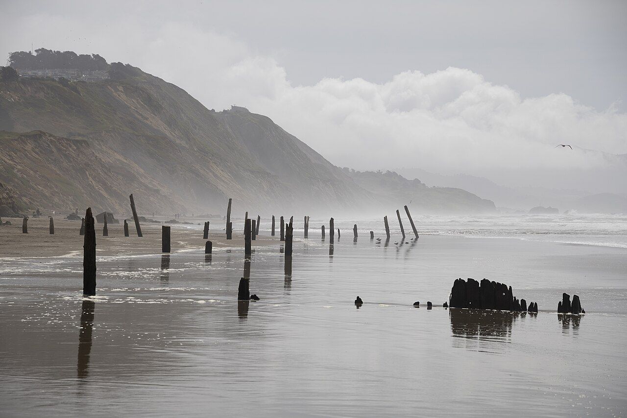 Phillip Burton Memorial Beach