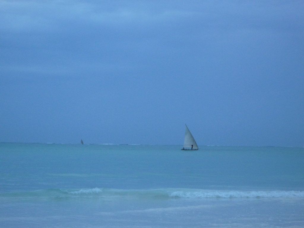 One Ocean