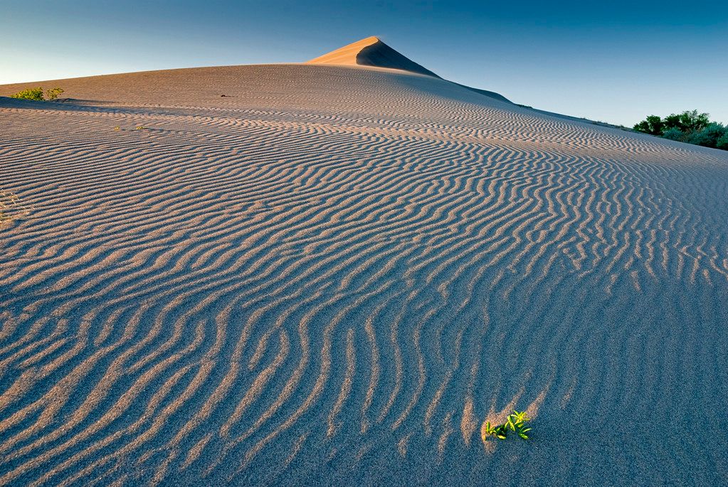 Ripple Sand