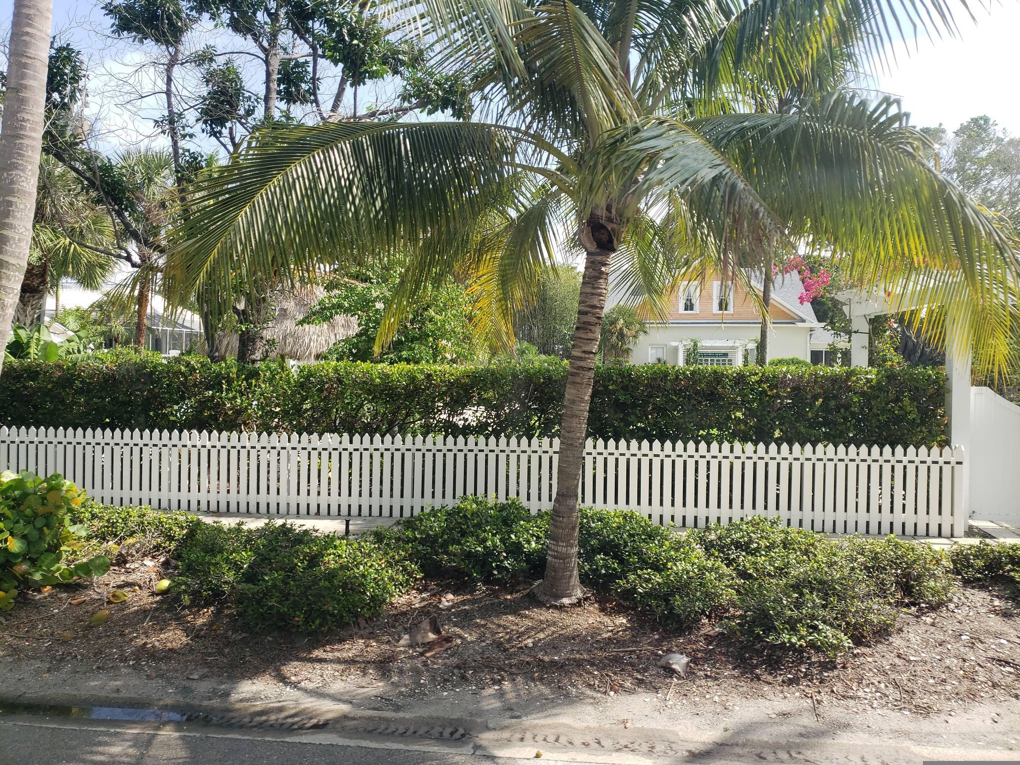 11th Avenue South Beach