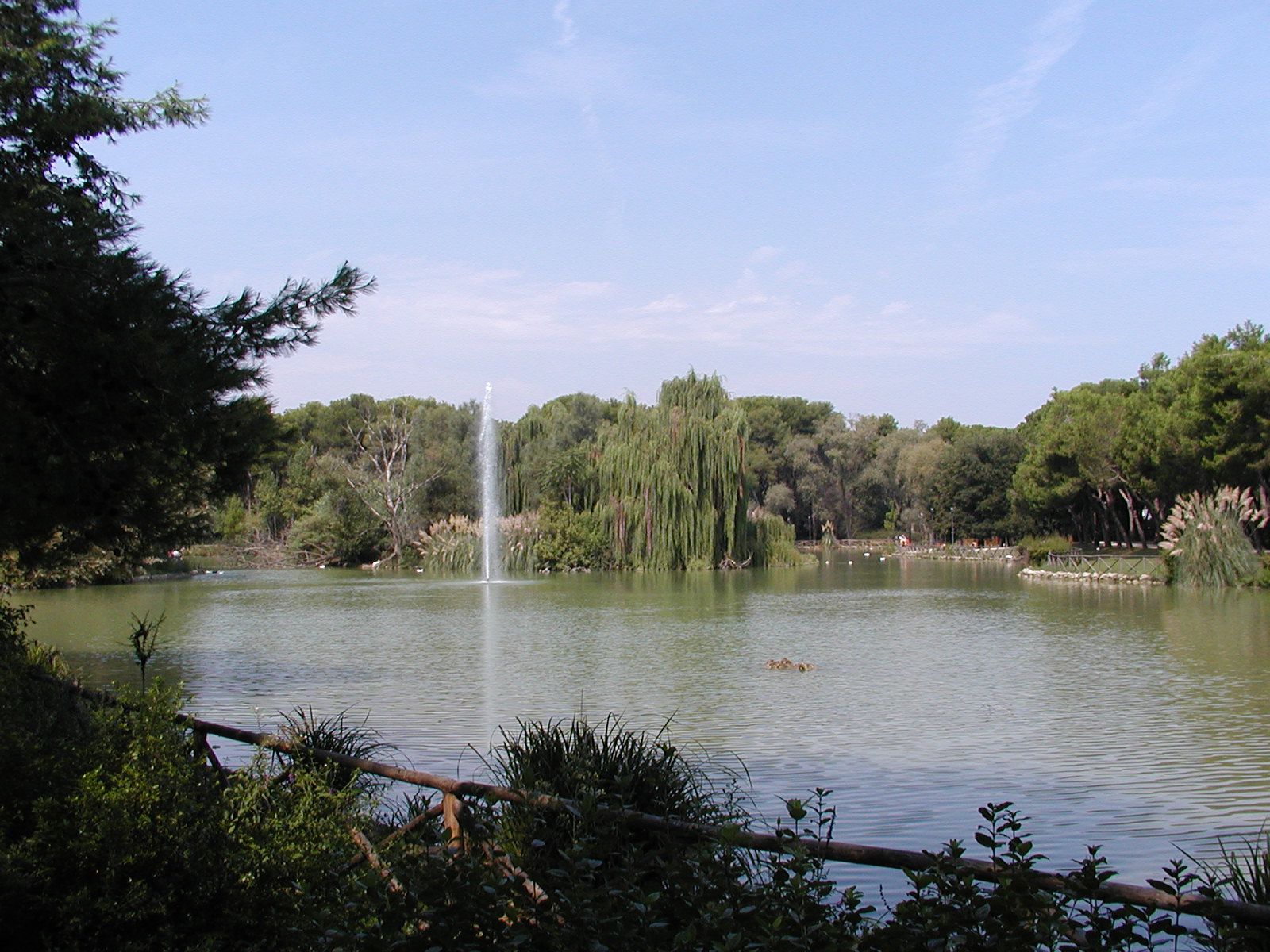 La Pineta