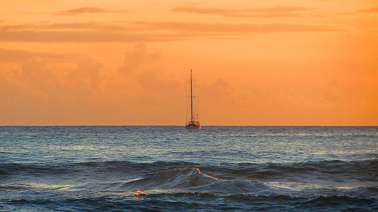 Paradise Surf Break