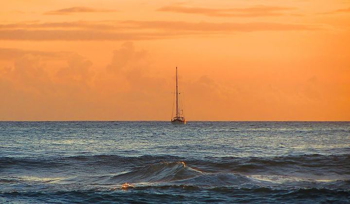 Paradise Surf Break