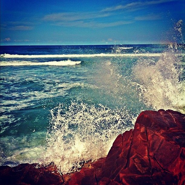 Port Stephens Surf School