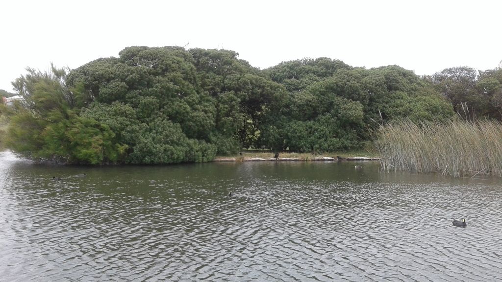 B14 UTHGRA del Mar