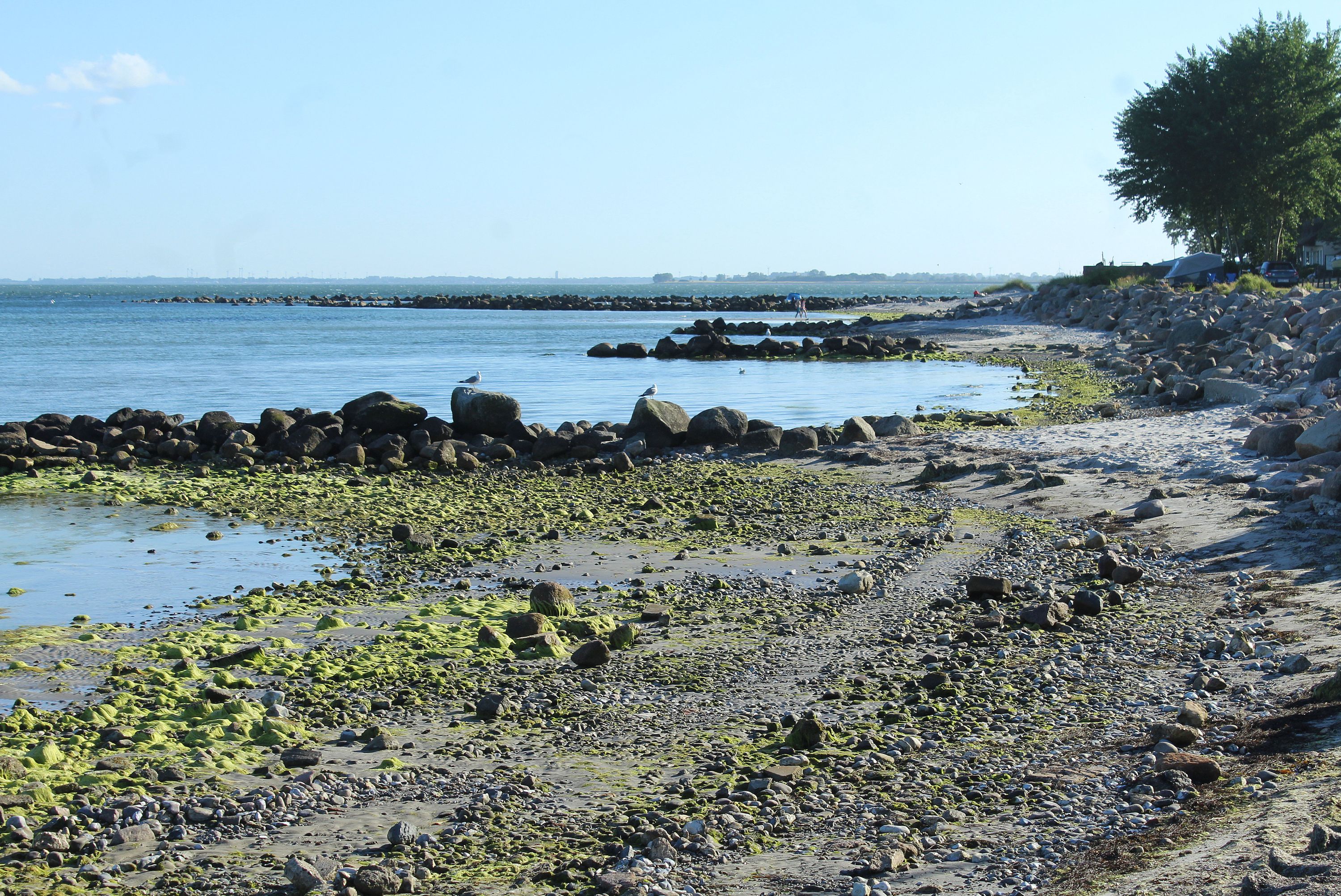 Wulfener Hals - Strand