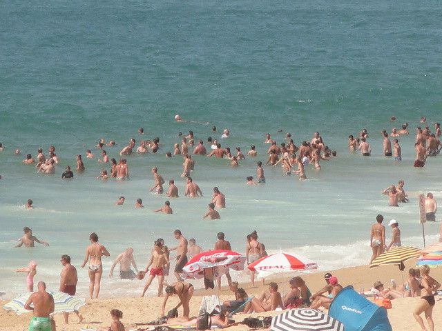 Surf