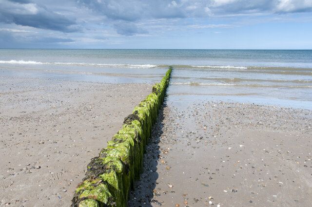 Surf Shack Rosslare