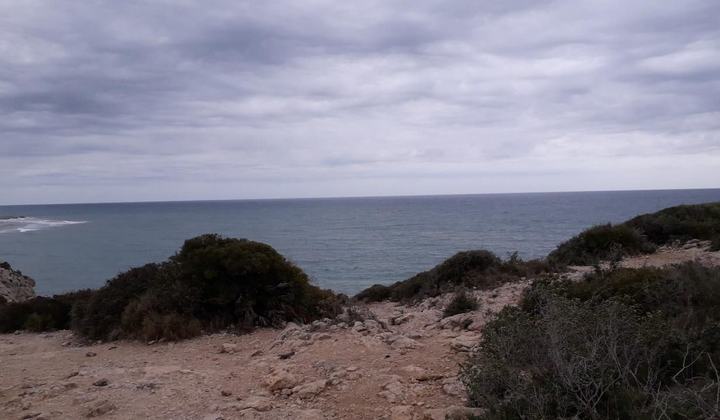 Platja de Rosés