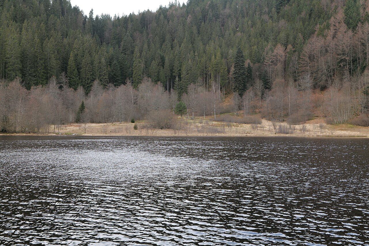 Sankenbachsee