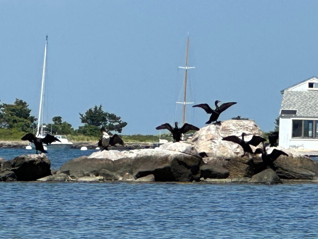 Plage US-NE